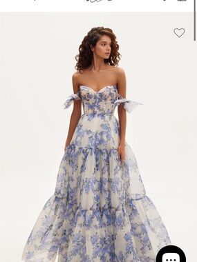 Milla Hydrangea Floral Organza Maxi Dress Blue White Tie-Strap Sweetheart xs